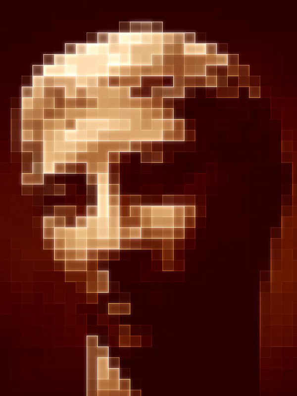 Portrait in shades of brown