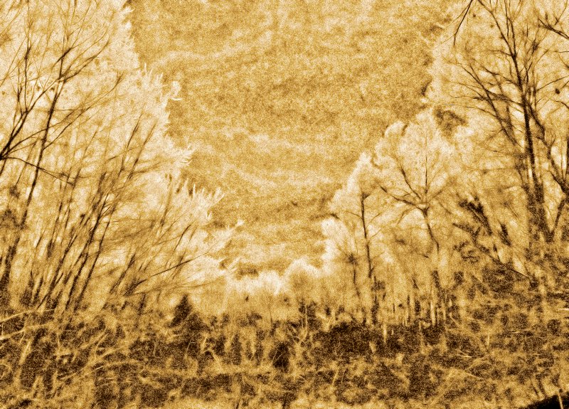Techno-Impressionism is networking thinking - by Tony Karp