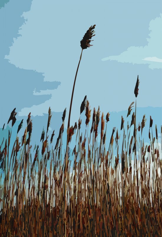 Beach reeds #2 - by Tony Karp